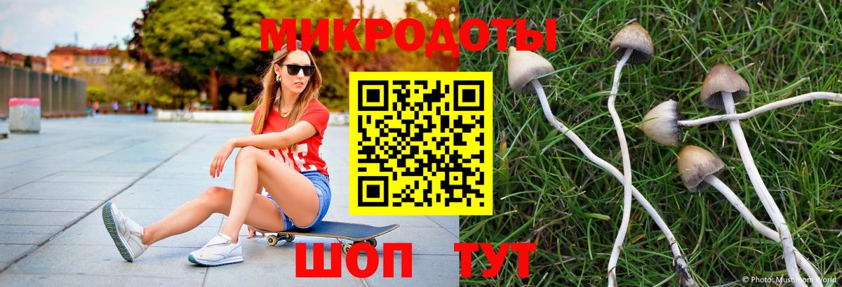 Бийск  Псилоцибиновые грибы Psilocybe  Вход с VPN  Галлюциногенные грибы GOLDEN TEACHER 