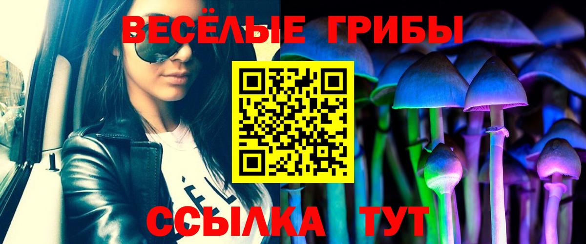 Галлюциногенные грибы Psilocybine cubensis Бийск
